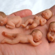 Image for article titled Five Large-Scale Attempts to Change the Course of Human Evolution